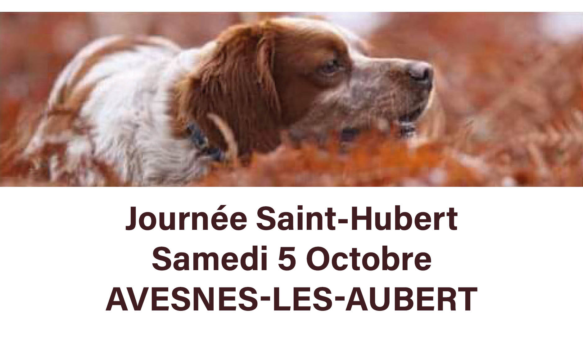 facebook saint hubert voirie 2024 10 04